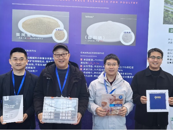 CHELOTAfun88ʹ⼦ҵ̳