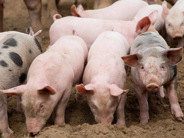 ＾ҪעʲôƺҪһҪĵ