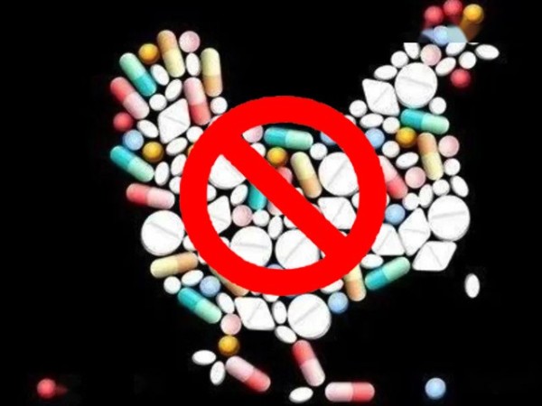 ϲǲΰ룻Żƽ