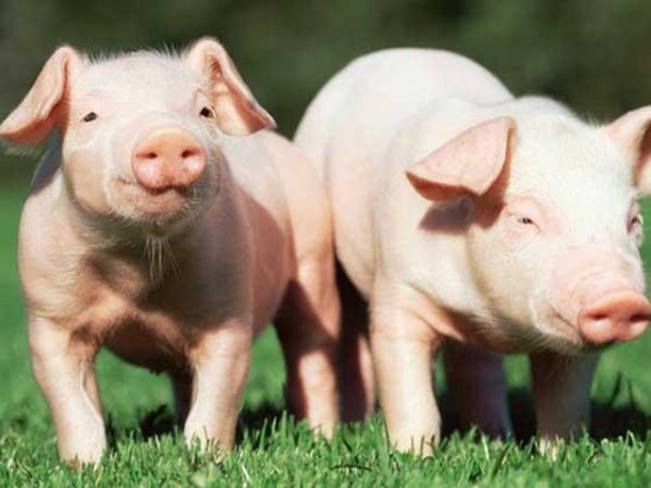 ʰʹʲôôбҪȫ