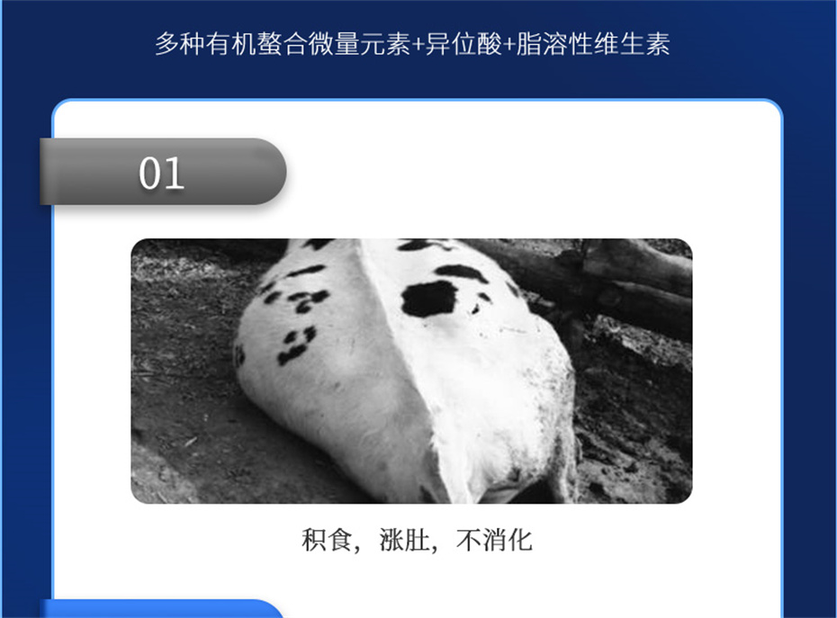 fun88ʹţӼţ׳챦Ʒ