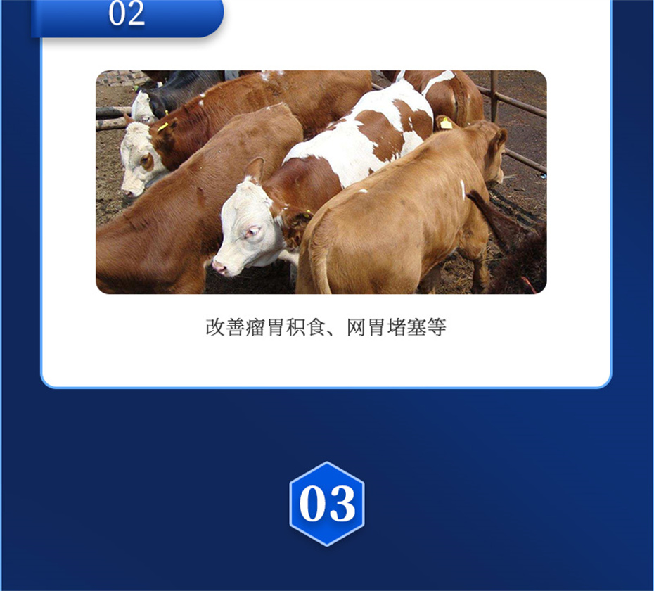 fun88ʹţӼţ׳챦Ʒ