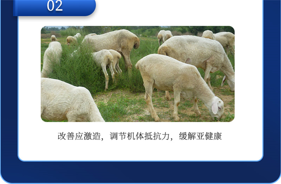 fun88ʹţӼţ׳챦Ʒ