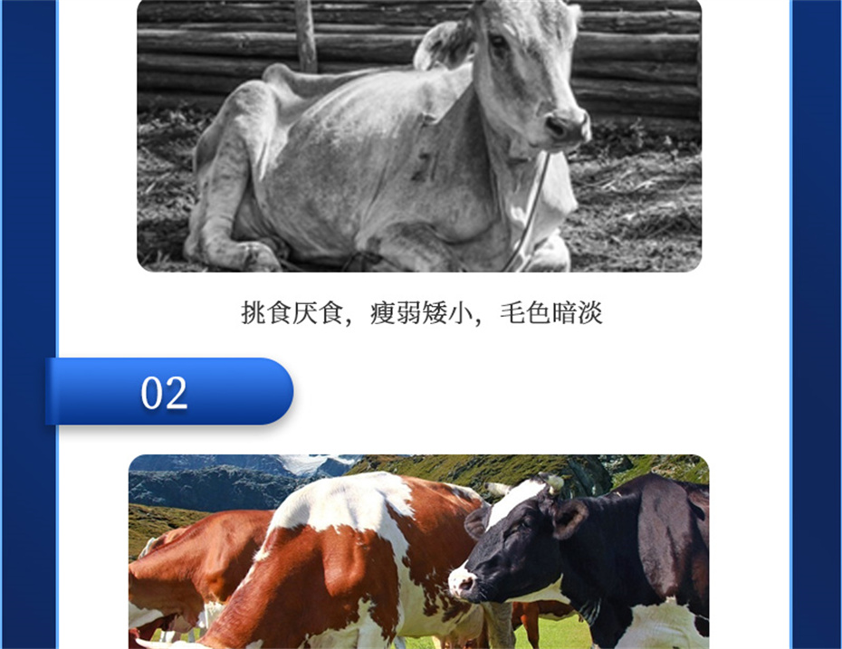 fun88ʹţӼţ׳챦Ʒ