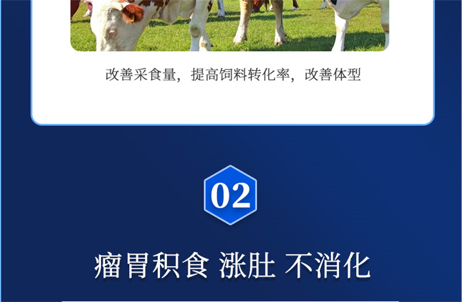 fun88ʹţӼţ׳챦Ʒ