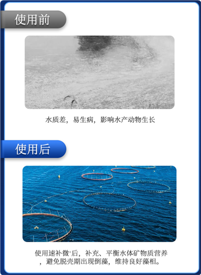 fun88ʹл΢Ԫٲ΢+ϺЧ