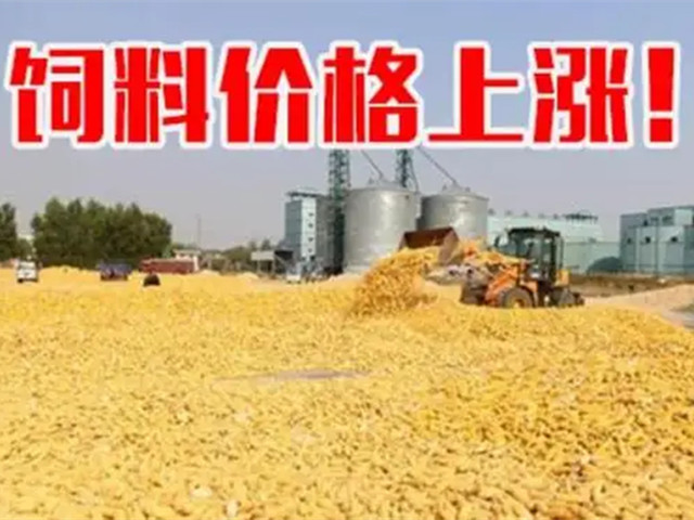 ںϼ۸ٴϳҲп࣡ﶬҪԵø