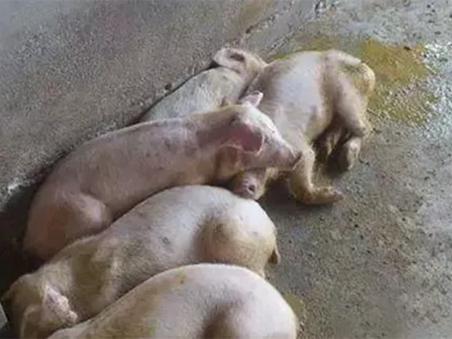 2022궬к֢״ղأ