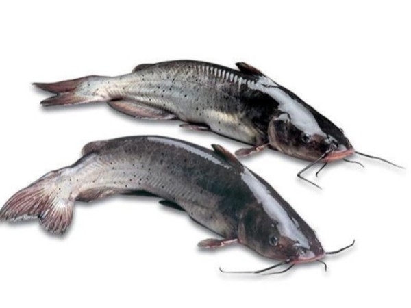 л޻пԴ԰ߵβtֿ»Ⱦ