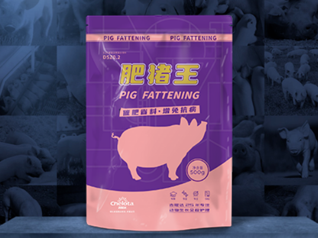 ߷÷ôЧءЧ÷