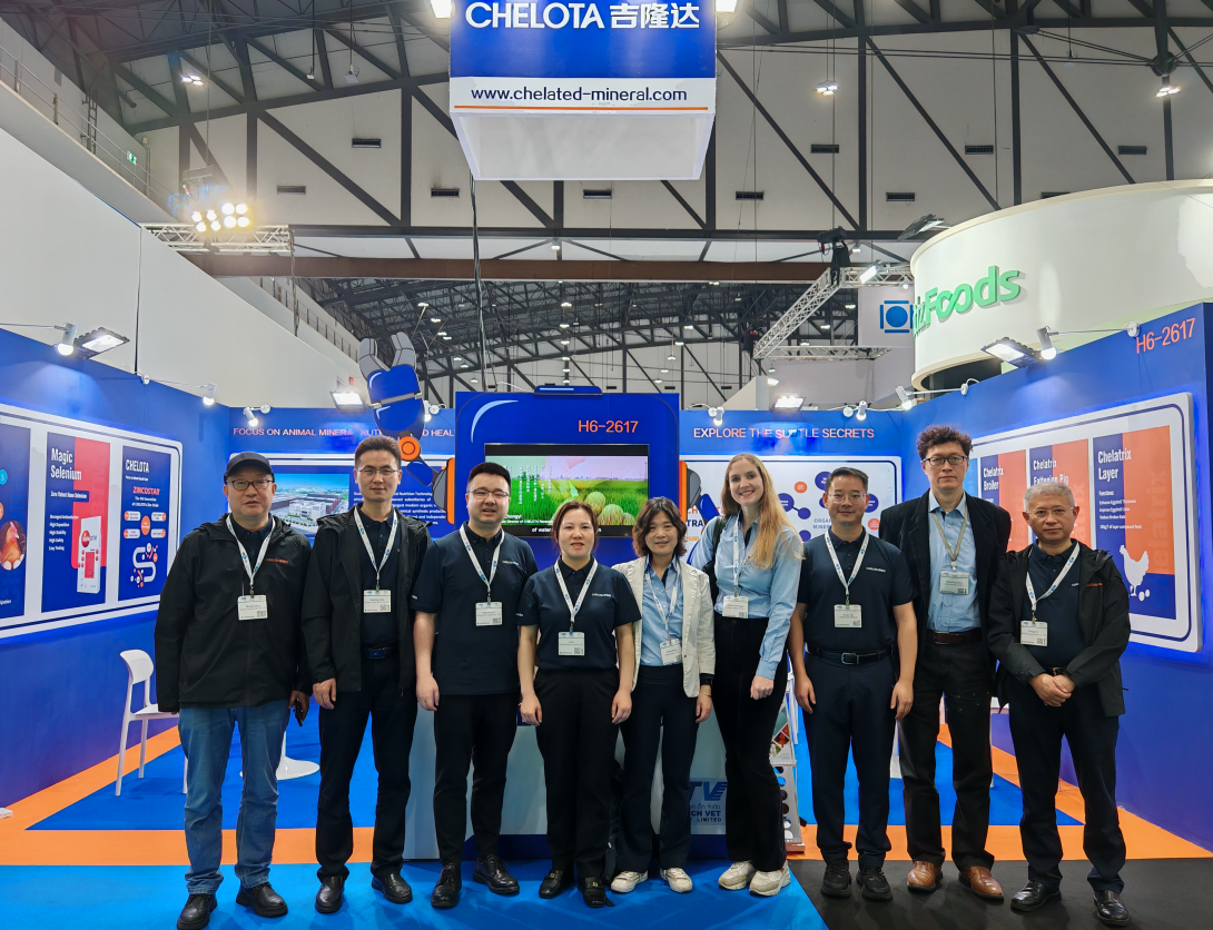 ̩ˣCHELOTAfun88ʹVIVޣ̩ʼԼչ