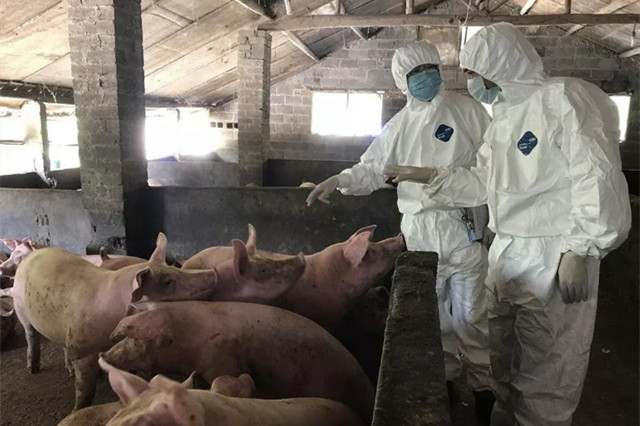 ·ÇÖÞÎÁ·À¿Ø ·ÇÖÞÎÁ·À¿Ø